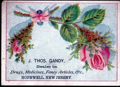 Hw-Gandy-Drug-1887c-Trade-Card-RDG 210801 007