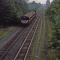 Curcio-Hw-Train-1981-08-28-036-Hopewell-Station-Passengers-from-NY-HwRR-DMF