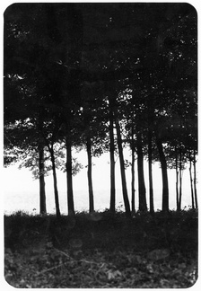 Kaplowitz-Hw-1975-Broad-east-Trees-Shadow-KDK 54