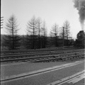 1953c-HwBoro-Train-Crossing-Louellen-HwRR-REL-02-Train-Engine-west