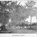 Blackwell-xxx-1897-ph-bw-HHH 043