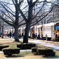 Princeton-035-2000-ph-Elementary School Buses-REL 230202 79