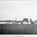 Zz Farm-xxx-1897-ph-Bonds Farm-HHH 049