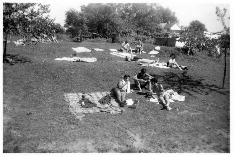 1946-Hw-Quarry-Field-Sunning-JML_SB_350.jpg