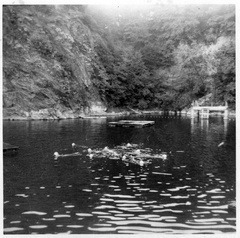 1963-Hw-Quarry-Water-Carnival-Swim-JML SB 357