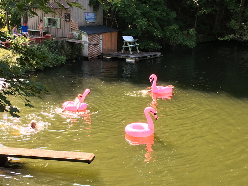2020-07-25-Hw-Quarry-Lake-Flamingos1-NBK_s2.jpg