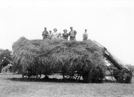1940-St Michaels-Farm-Klevze-Field-Hay-Wagon-RDK 1f 1