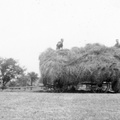 1940-St Michaels-Farm-Klevze-Field-Hay-Wagon-RDK 2f