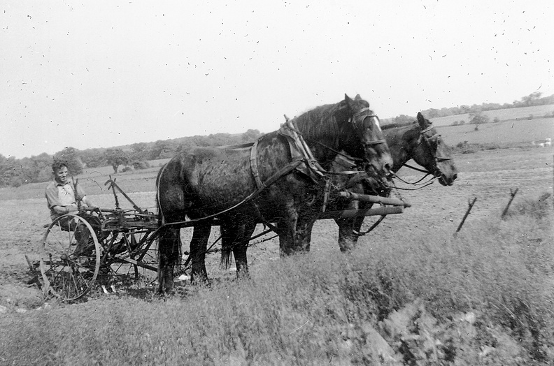 1940-St_Michaels-Farm-Klevze-Field-Horses-RDK_2f.jpg