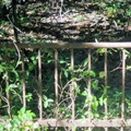 2012-St Michaels-Property-Fence-in-Rubble-MLB
