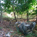 2012-St Michaels-Property-Old-Well-MLB